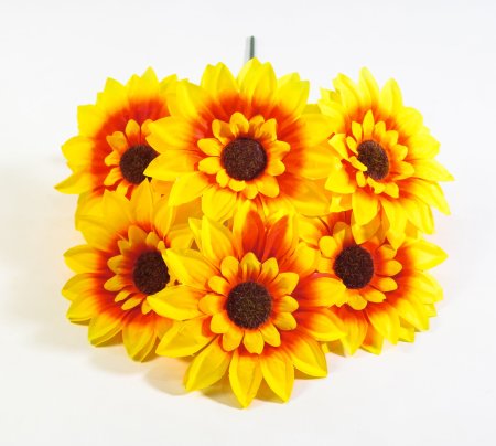 Подсолнух "Землячка" 6 цветков