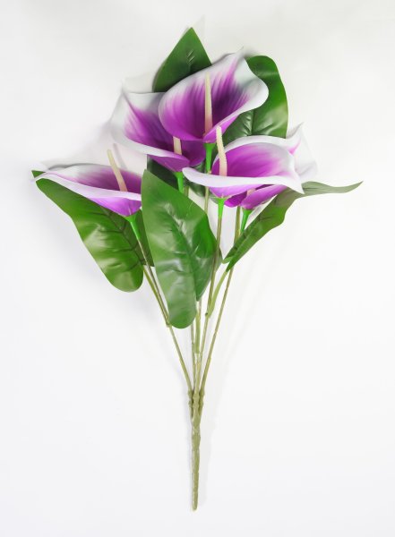 Букет калл "Юбилейный" 5 цветков