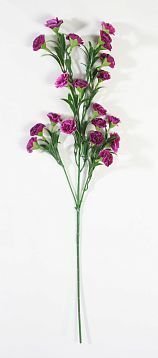 Ветка гвоздики 20 цветков пурпурно-красный от магазина KALINA являющийся официальным дистрибьютором в России 