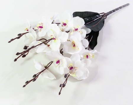 d8594708d76b02b89779ce71304cf431