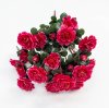 Азалия 24 цветка 12 бутонов
