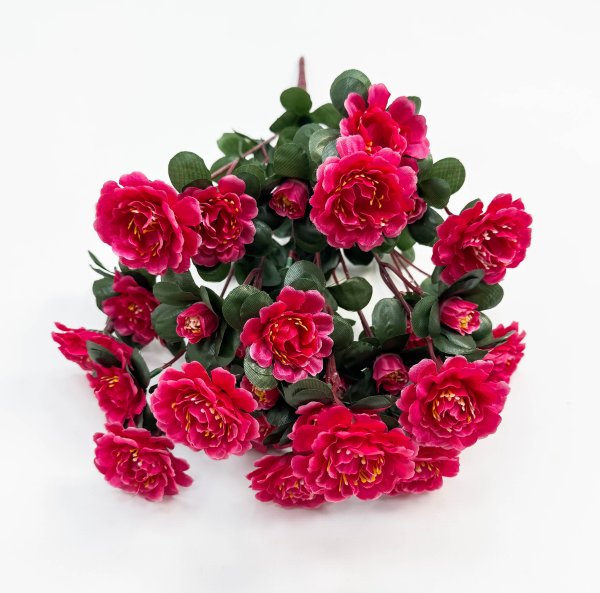 Азалия 24 цветка 12 бутонов