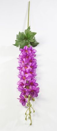 Ветка дельфиниума