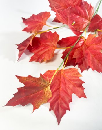 картинка Ветка клена с красным листом от магазина KALINA