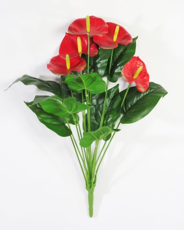 Антуриум Красный 5 цветков