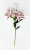 Ветка лилий "Сибирь" нежно-розовая