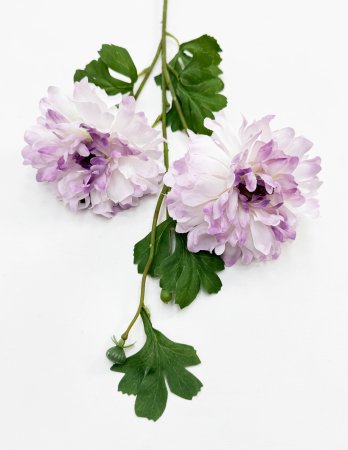 Георгин махровый нежно- сиреневый