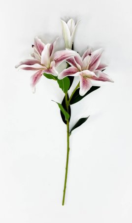 Ветка лилий "Сибирь" нежно-розовая