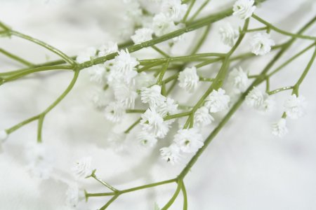 Ветка гипсофилы с силиконовыми цветами