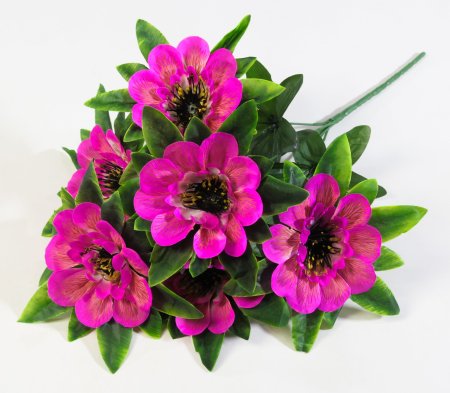 Букет георгина  "Баронесса" 6 веток  6 цветков