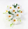 Букет ромашек "Шато" 13 цветков