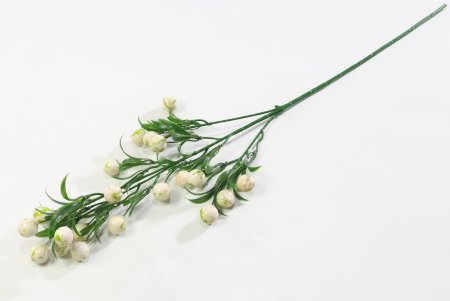 Ветка крупных белых ягод