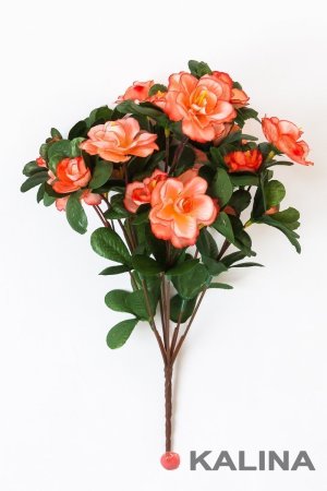 Букет азалии 7 веток