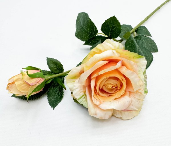 Роза "Булевард" персиковая