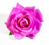 Насадка розы "Эстер" розовый бархат