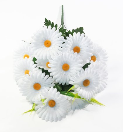 Ромашка "Степь" 12 цветков