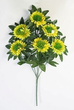 Астра "Ростовчанка" 6 цветков от магазина KALINA являющийся официальным дистрибьютором в России 