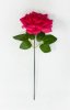 Роза штучка "Палома" малиновая
