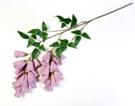 Наперстянка каскадная пюсовая