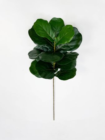 картинка Лирата темно-зеленая 15 листов от магазина KALINA