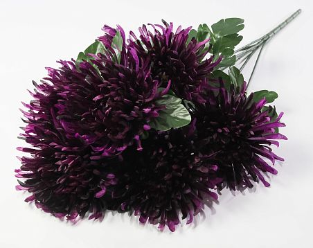 Астра "Кардинал" 7 цветков от магазина KALINA являющийся официальным дистрибьютором в России 