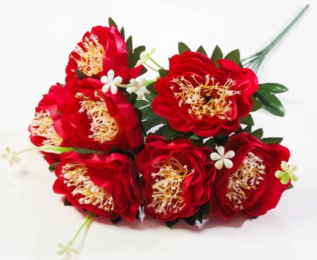 Пион "Миледи" 7 цветков