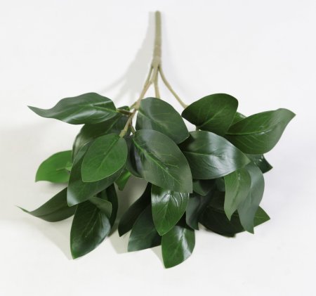 картинка Букет Лавр от магазина KALINA