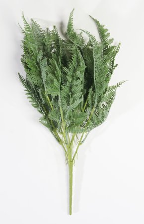 картинка Ветка даваллия 21 лист от магазина KALINA