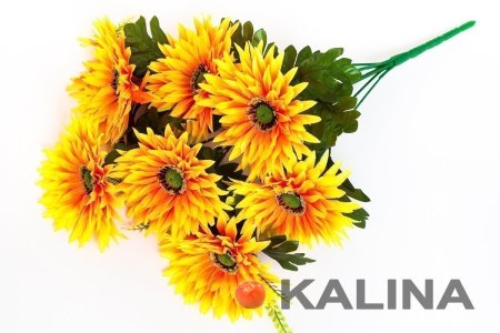 Букет астры Игла 7 веток 7 цветков