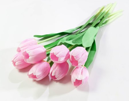 e58829d49af8e56c29e8e2ef559dc474