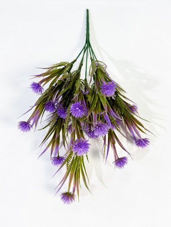 Репей мелкий 7 веток