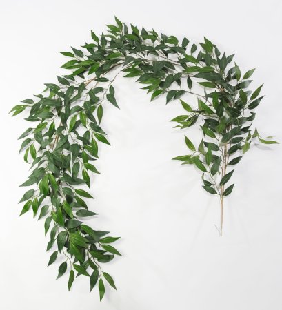 картинка Лиана оливы пушистая от магазина KALINA