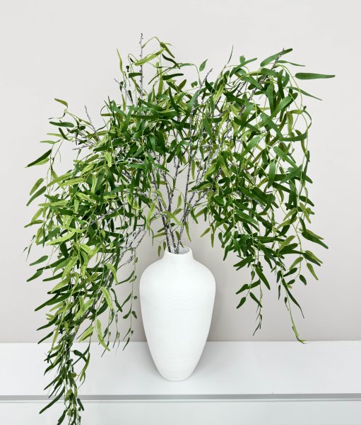 картинка Ива узколистная от магазина KALINA