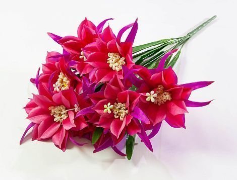 Эпифиллюм 7 цветков от магазина KALINA являющийся официальным дистрибьютором в России 