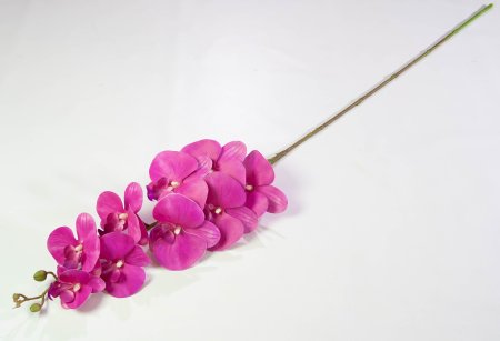 Ветка орхидеи 23