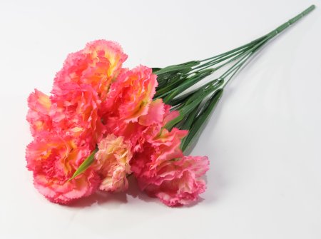 Букет гвоздик "Вишенка" 9 цветков