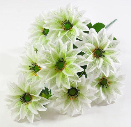 Астра "Жилка крупная" 9 цветков