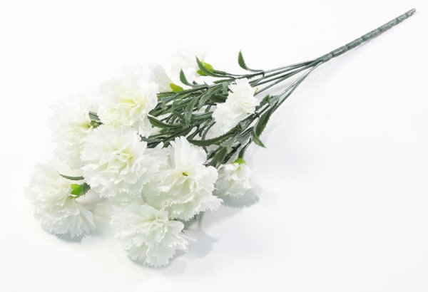 Букет гвоздик "Вечная память"