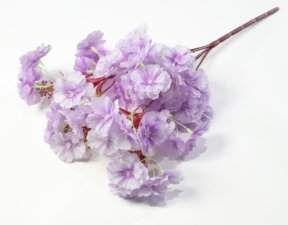 Букет яблони "Майя" 5 веток