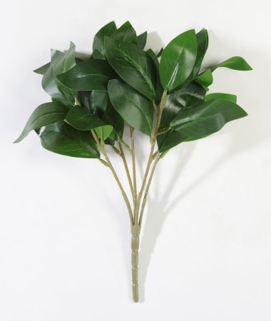 картинка Букет Лавр от магазина KALINA