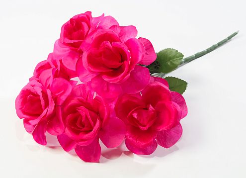 Роза "Альмера" 6 цветков от магазина KALINA являющийся официальным дистрибьютором в России 
