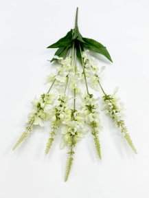 Шалфей дубравный белый 5 соцветий