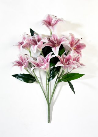 Лилия Иванна латекс 9 цветков