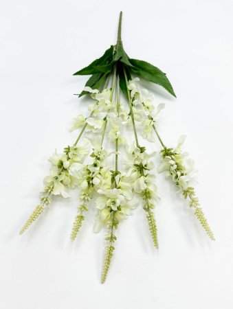 Шалфей дубравный белый 5 соцветий