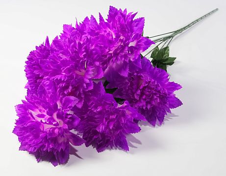 Астра "Женевьева" 7 цветков от магазина KALINA являющийся официальным дистрибьютором в России 
