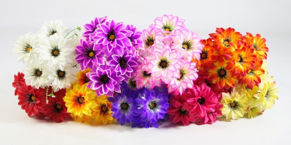 Букет георгина "Апачи" 6 цветков