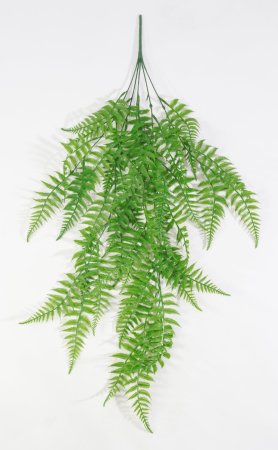 картинка Многорядник ампельный от магазина KALINA