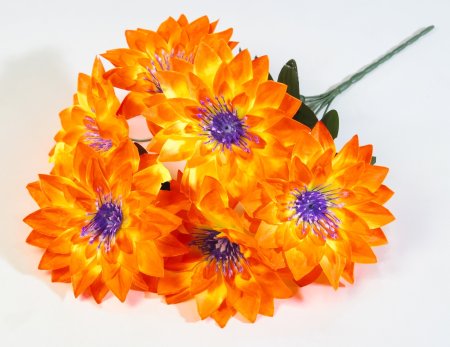 Букет астр Махровая смесь 6 цветков