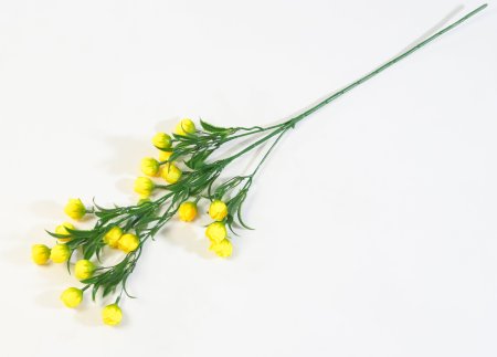 Ветка "Пицея" высокая желтая