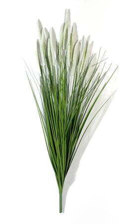 картинка Пеннисетум (Лисий хвост) 90 см 15 веток от магазина KALINA